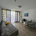 Vina Del Mar Appartement Playa Feñabe