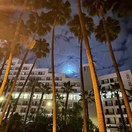 Vina Del Mar Apartman